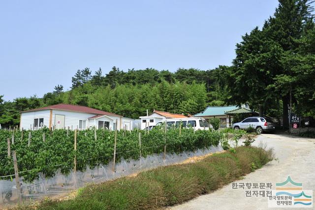 대표시청각 이미지