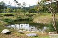 선운산 생태숲 생태 연못 썸네일 이미지