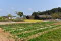상하농원 텃밭정원,과일공방 썸네일 이미지
